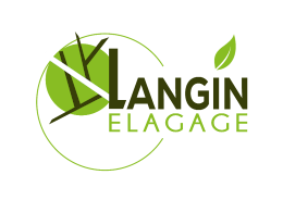 logo-langin.png
